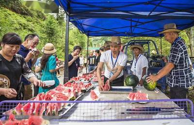 鞋帽零售領(lǐng)跑，我市社會(huì)消費(fèi)品零售總額增速榮登全省榜首